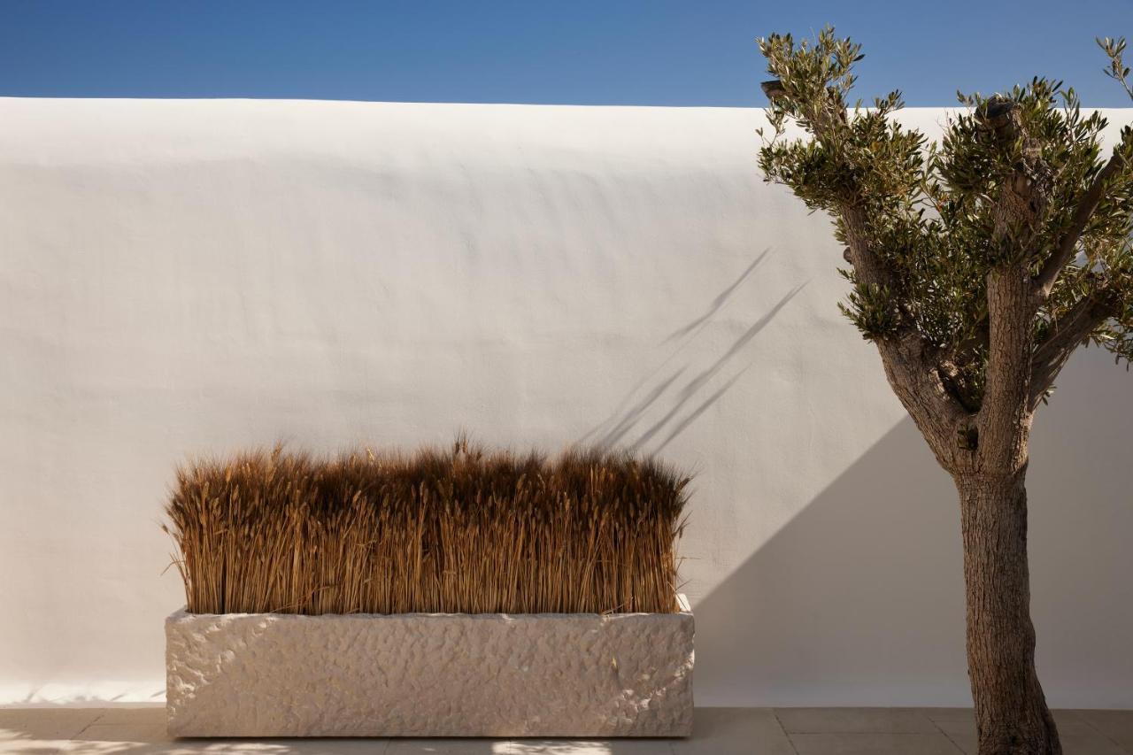 Kalesma Mykonos Hotel Орнос Екстериор снимка